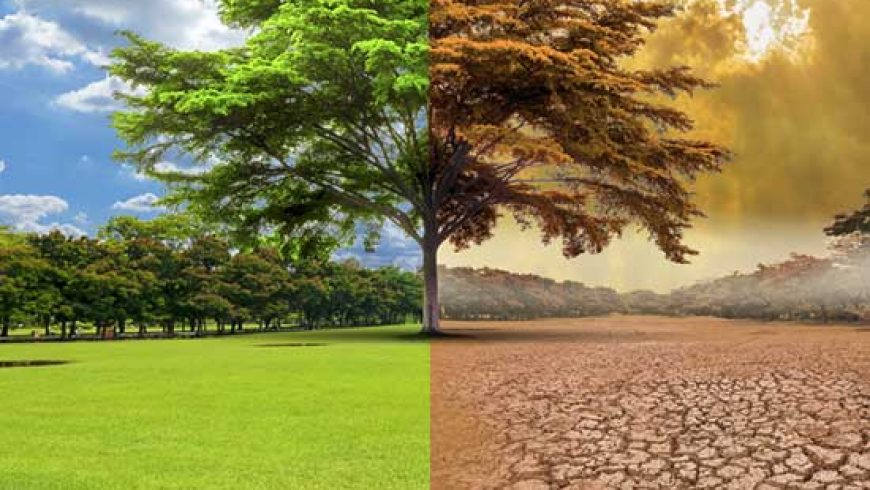 Webinar Dampak Variabilitas Iklim di Indonesia serta Langkah Preventif Manajemen Perubahannya